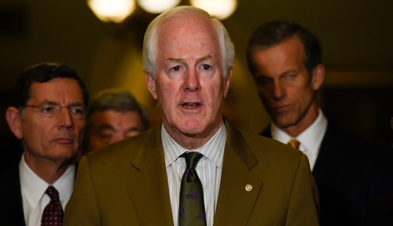 Sen. John Cornyn, R-Texas, the second-ranking GOP senator, said some parts of the bill were bogging Republicans down. (AP Photo/Sait Serkan Gurbuz)