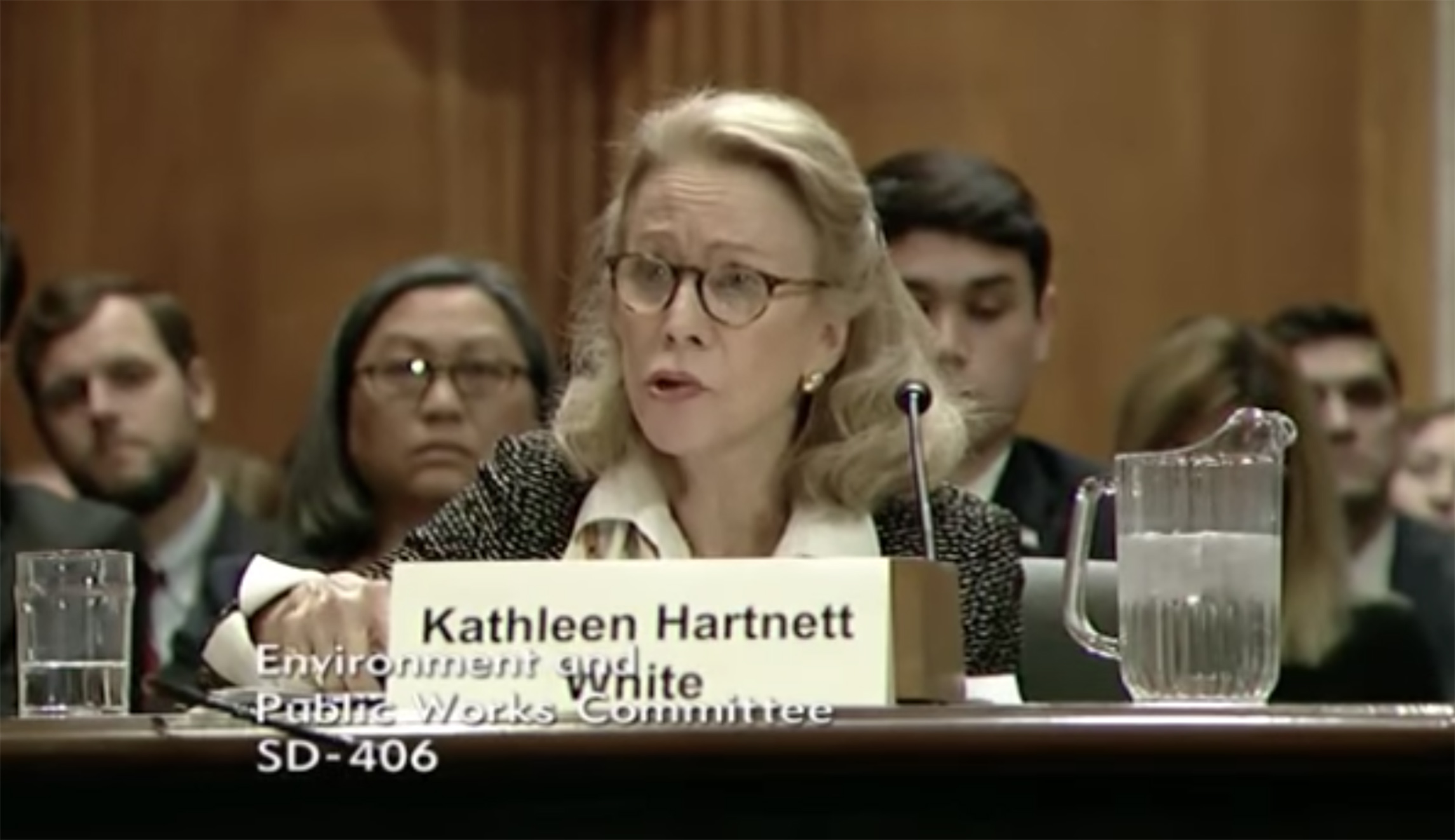 Senate Democrats flag Trump top environment nominee for plagiarism