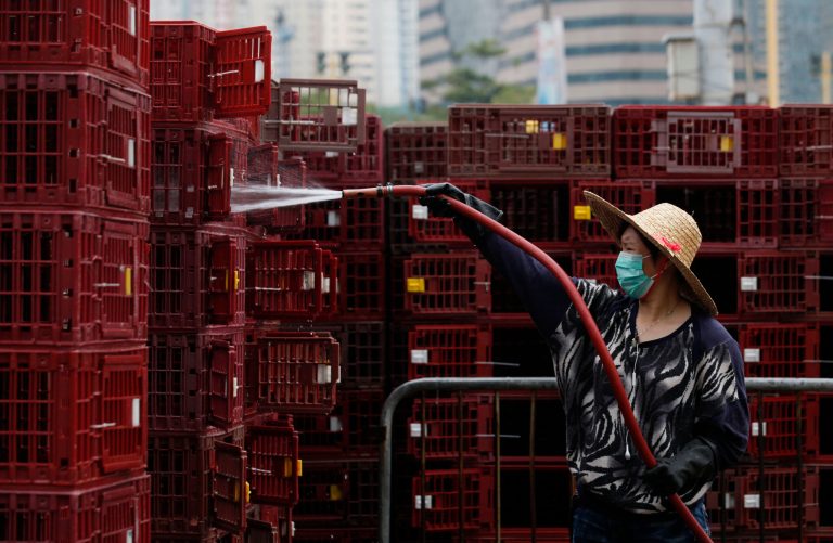   FILE - This April 8, 2013 file photo shows a worker cleaning empty cages used for transporting chickens, to prevent an outbreak of H7N9 infections at a wholesale poultry market in Hong Kong. Scientists who sparked an outcry by creating easier-to-spread versions of the bird flu want to try such experiments again using a worrisome new strain. Since it broke out in China in March, the H7N9 bird flu has infected more than 130 people and killed 43. Leading flu researchers say that genetically engineering this virus in the lab could help track whether itâs changing in the wild to become a bigger threat. They announced the pending plans Wednesday in letters to the journals Science and Nature. (AP Photo/Kin Cheung, File)  