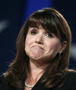 Will Palin endorse wisely?