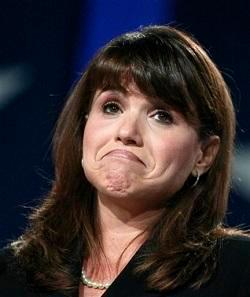 Will Palin endorse wisely?
