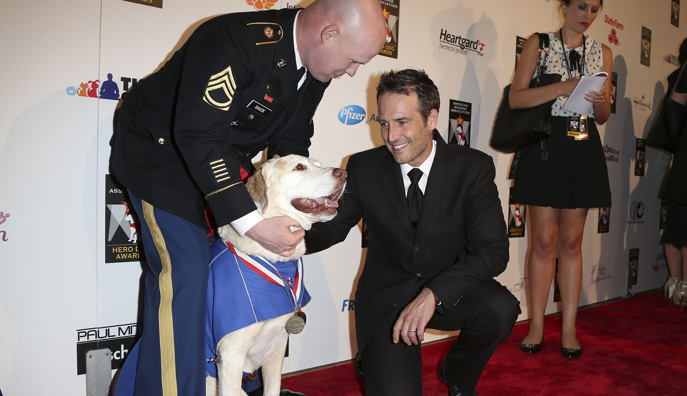 Five military dogs awarded K-9 Medal of Courage