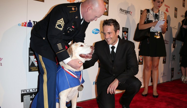 One of the canine recipients of the American Humane Lois Pope LIFE K-9 Medal of Courage, Gabe, (pictured above) engaged in more than 200 combat missions in Iraq before passing away in 2013.