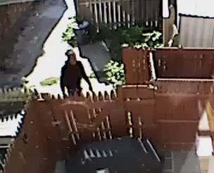 Video: Backyard burglar strikes U Street corridor