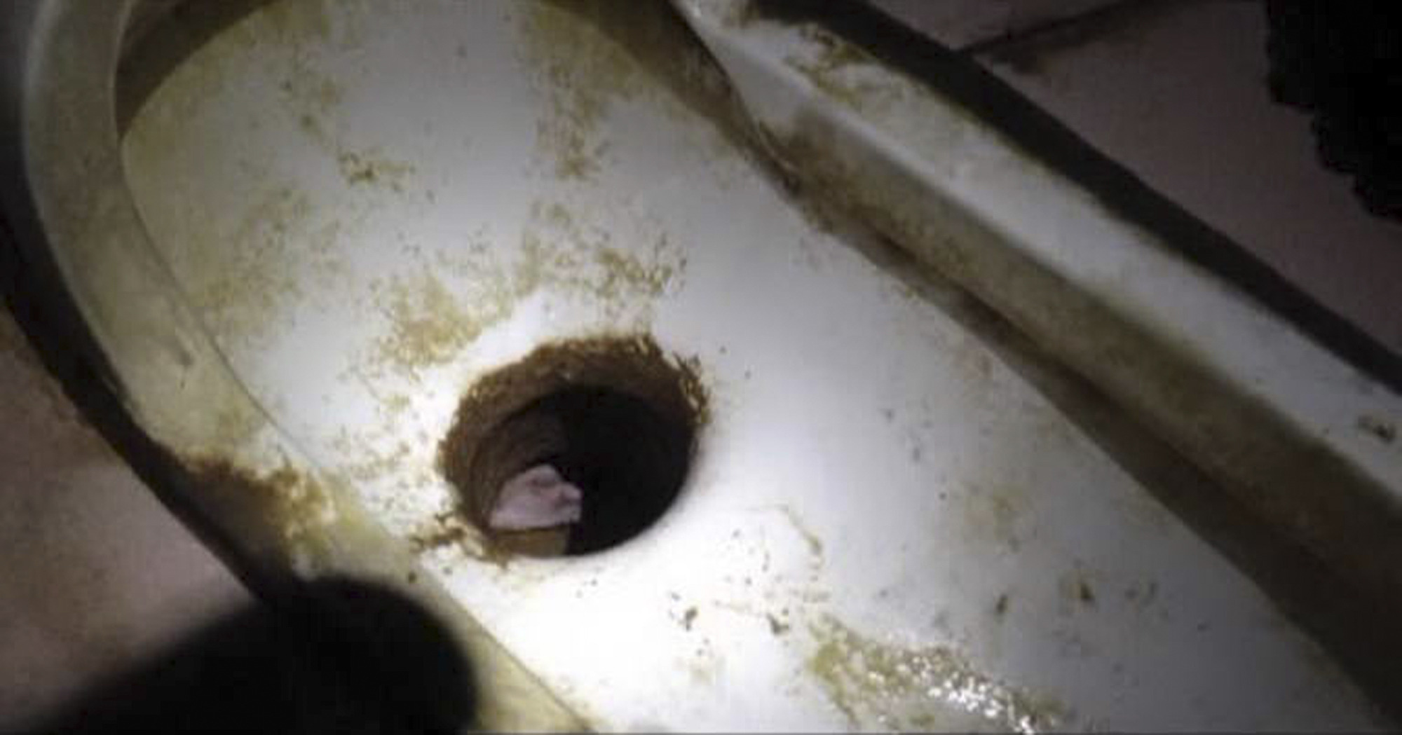 Rescuers save newborn from sewage pipe in China