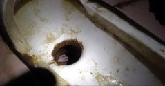 Rescuers save newborn from sewage pipe in China