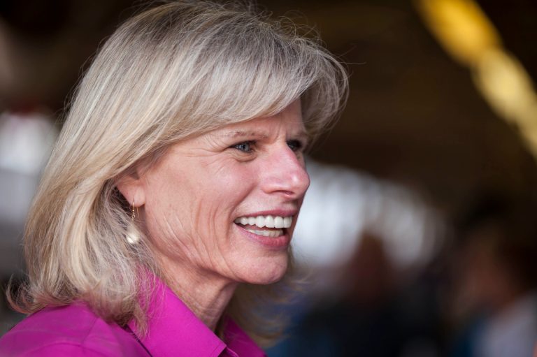 Wisconsin Democratic gubernatorial candidate Mary Burke attends the Rock County 4-H Fair, Thursday, July 24, 2014, in Janesville, Wis. (AP Photo/Andy Manis)