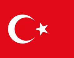 International Decline Into Madness