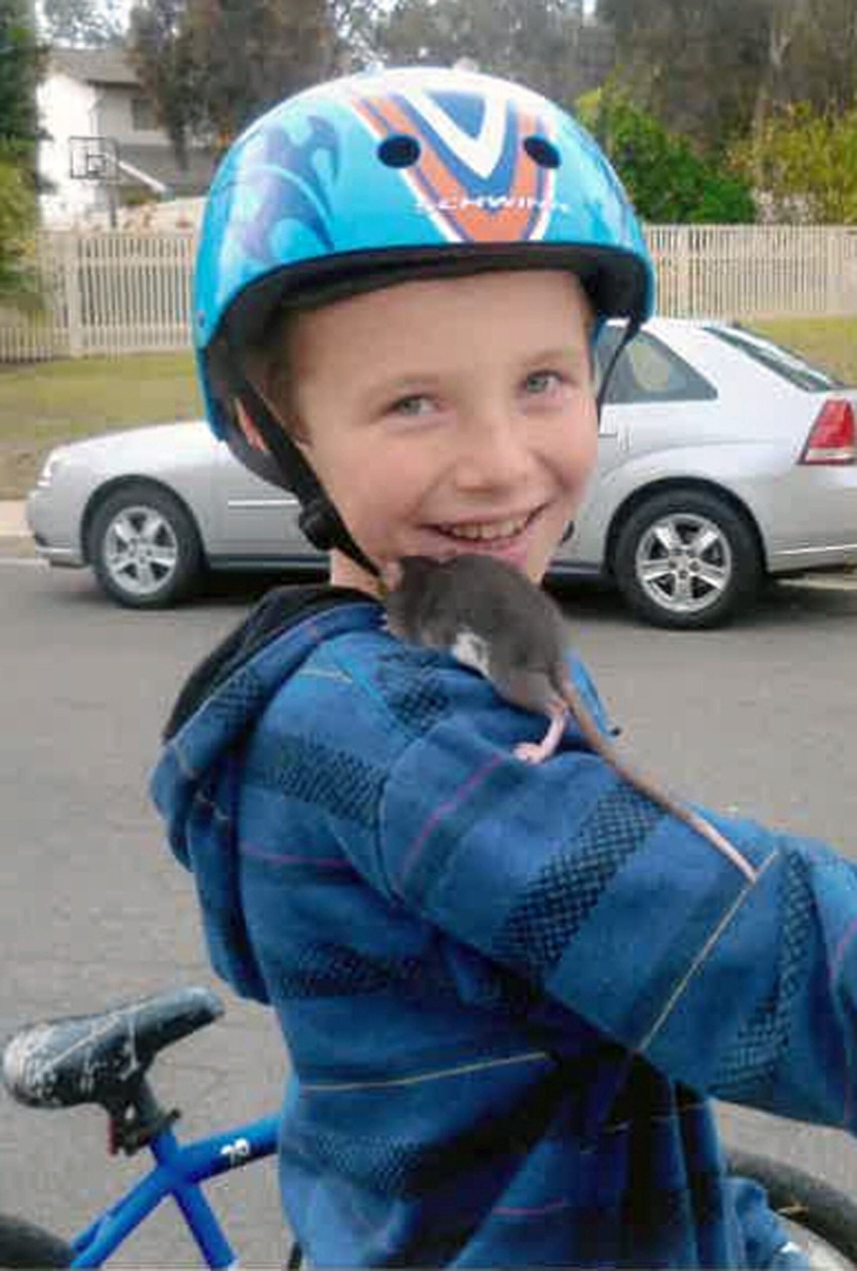 Boy’s death from infected rat spurs suit vs. Petco