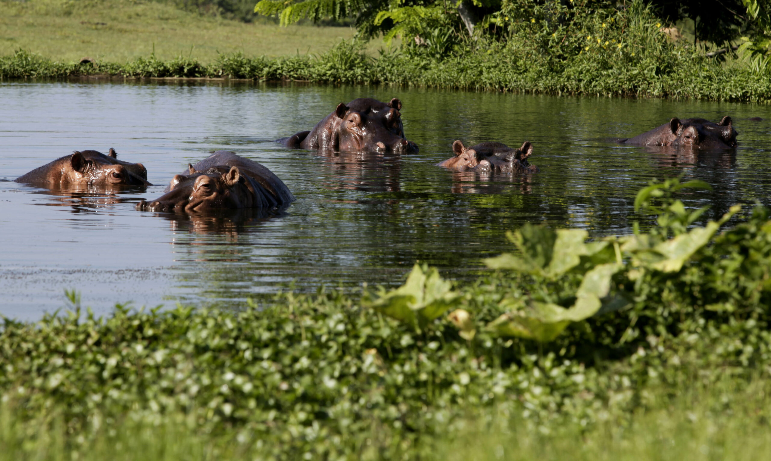 U.S., Cuba sign conservation memo