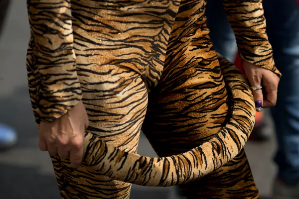 Circuses send in the clowns over Mexico animal ban