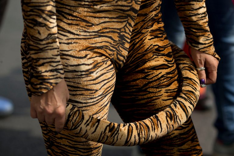 A circus performer wears a tiger costume during a protest against a new city law banning the use of animals in circuses in Mexico City, Tuesday, June 10, 2014. Performers marched through the center of the city Tuesday chanting, 