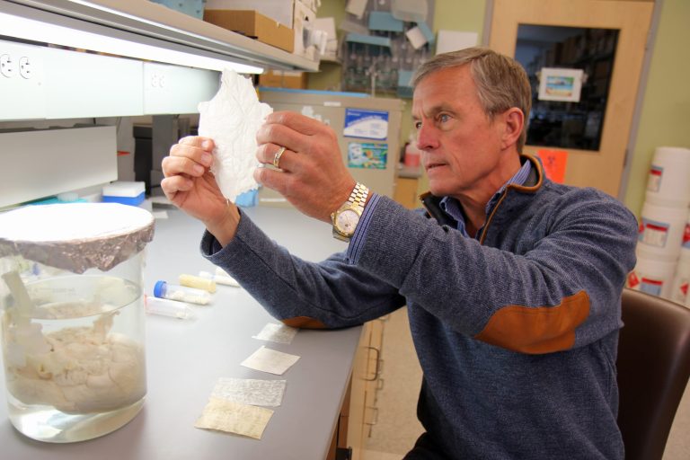 Experiment grows new muscle in men’s injured legs