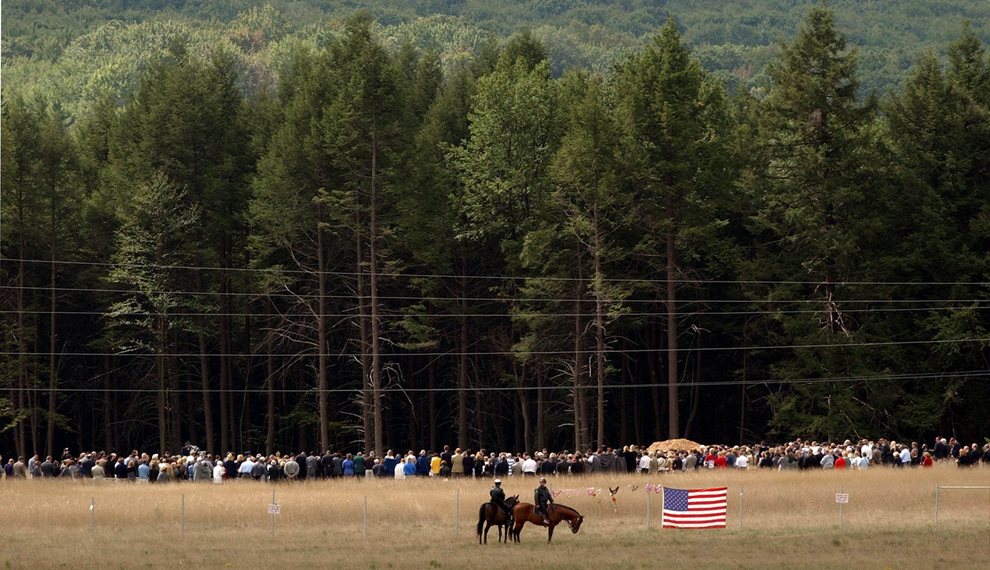 Insect pest at Flight 93 site linked to climate