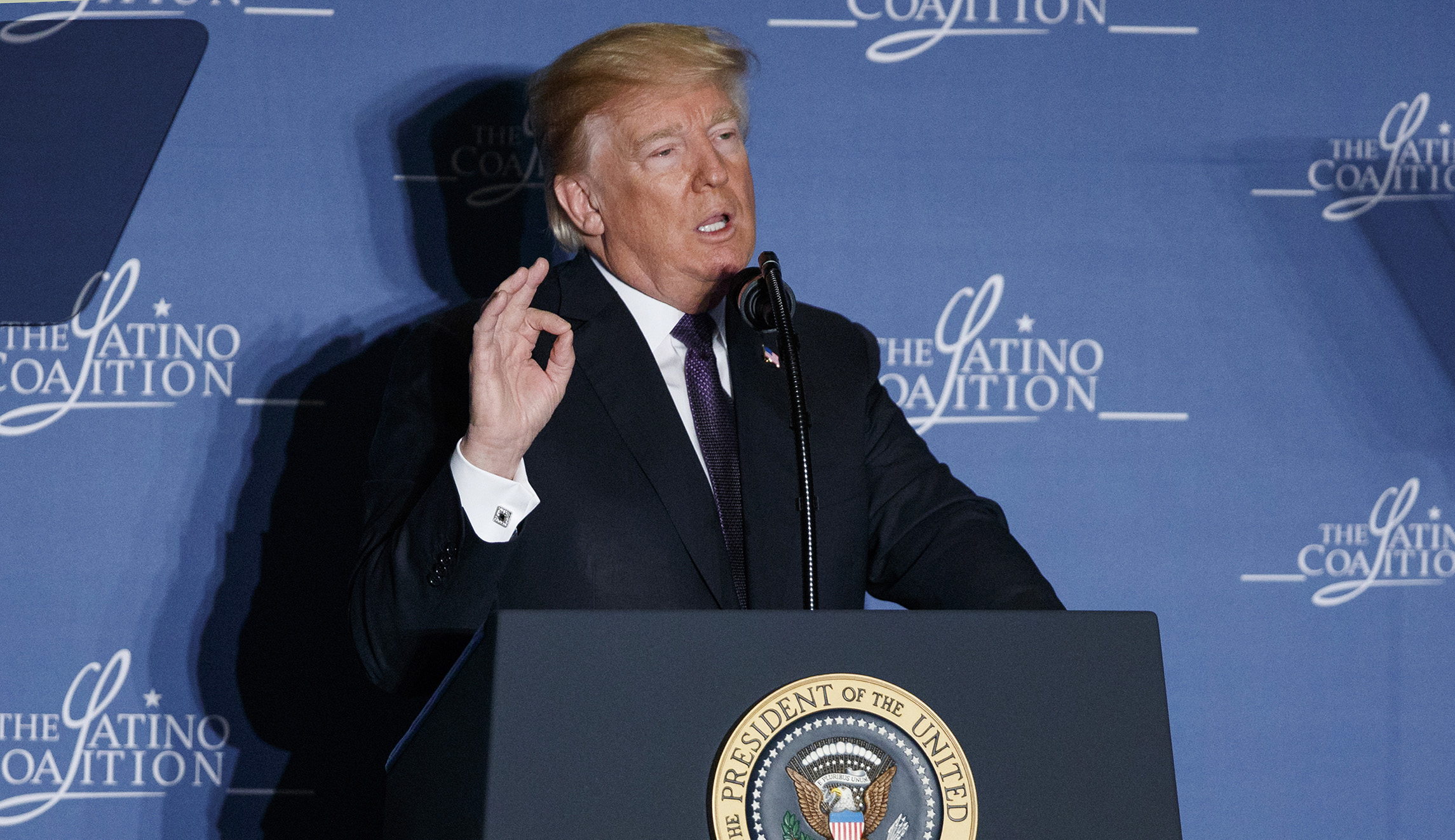 Trump: Democrats think GOP has ‘too many victories’