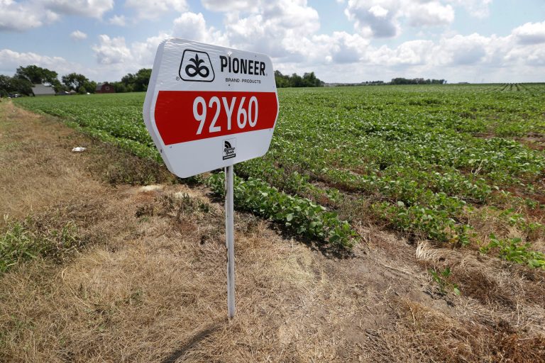 FILE - In this Wednesday, July 31, 2013, file photo, a DuPont Pioneer seed sign is placed in a bean field, Wednesday, July 31, 2013, in Johnston, Iowa. DuPont reports quarterly earnings on Tuesday, Jan. 28, 2014. (AP Photo/Charlie Neibergall, File)