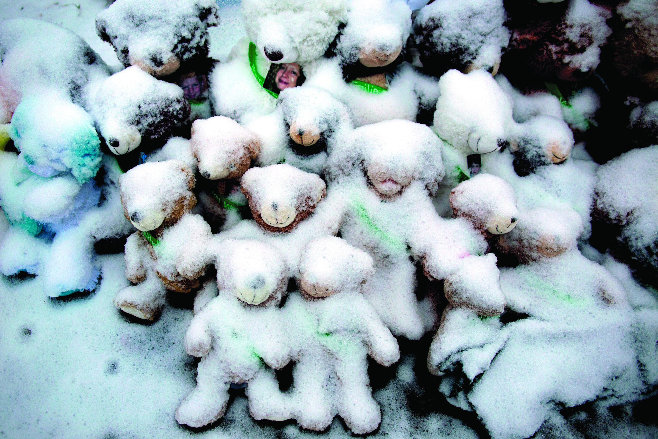 Newtown celebrates Christmas and remembers victims