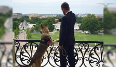 Marine is on a mission to provide service dogs for vets with PTSD