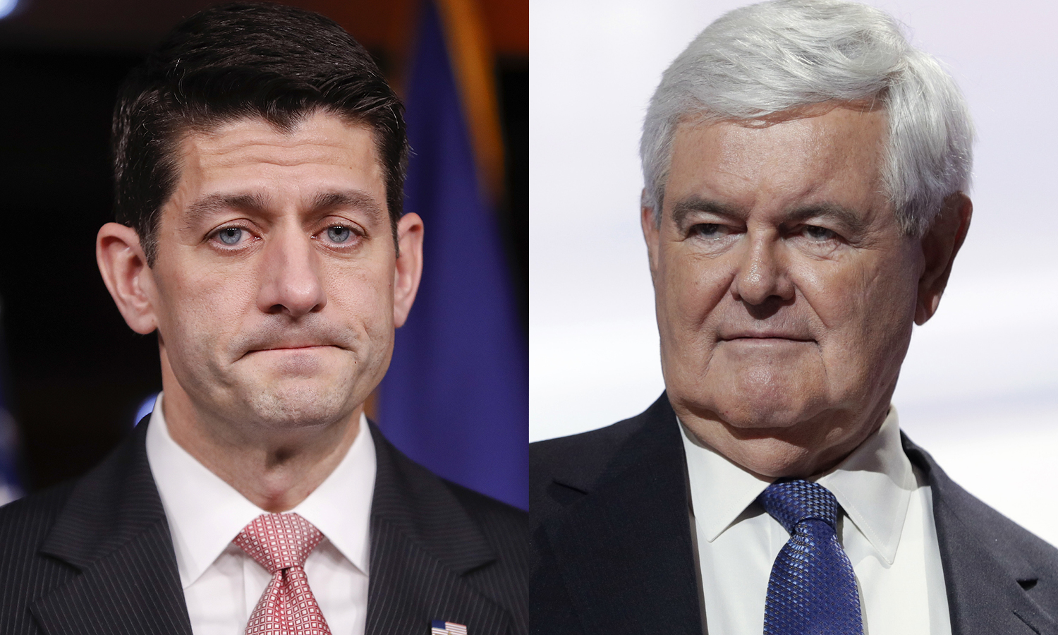 Poll: Dems hate Ryan even more than they hated Gingrich