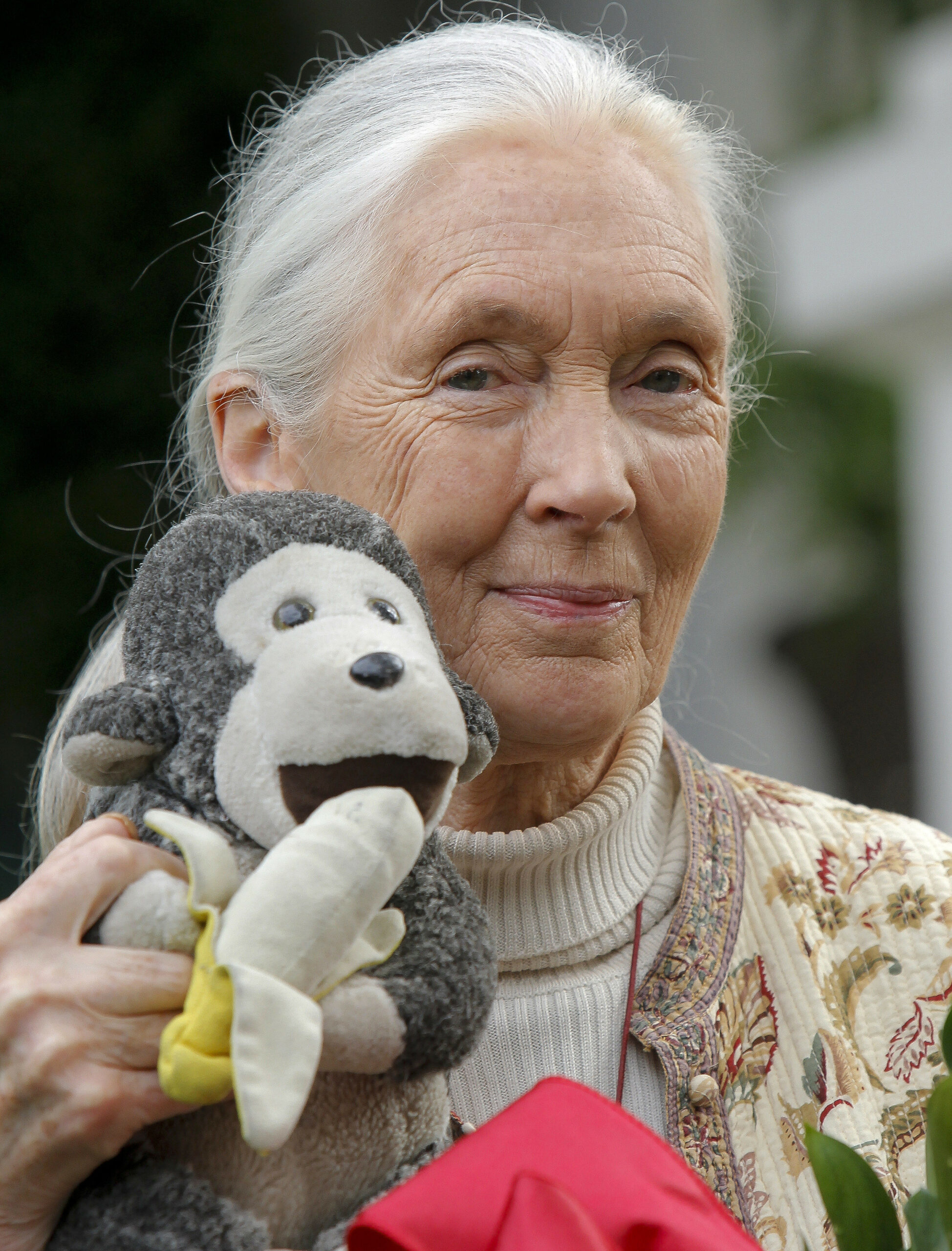 Jane Goodall, primatologist and frequent flyer