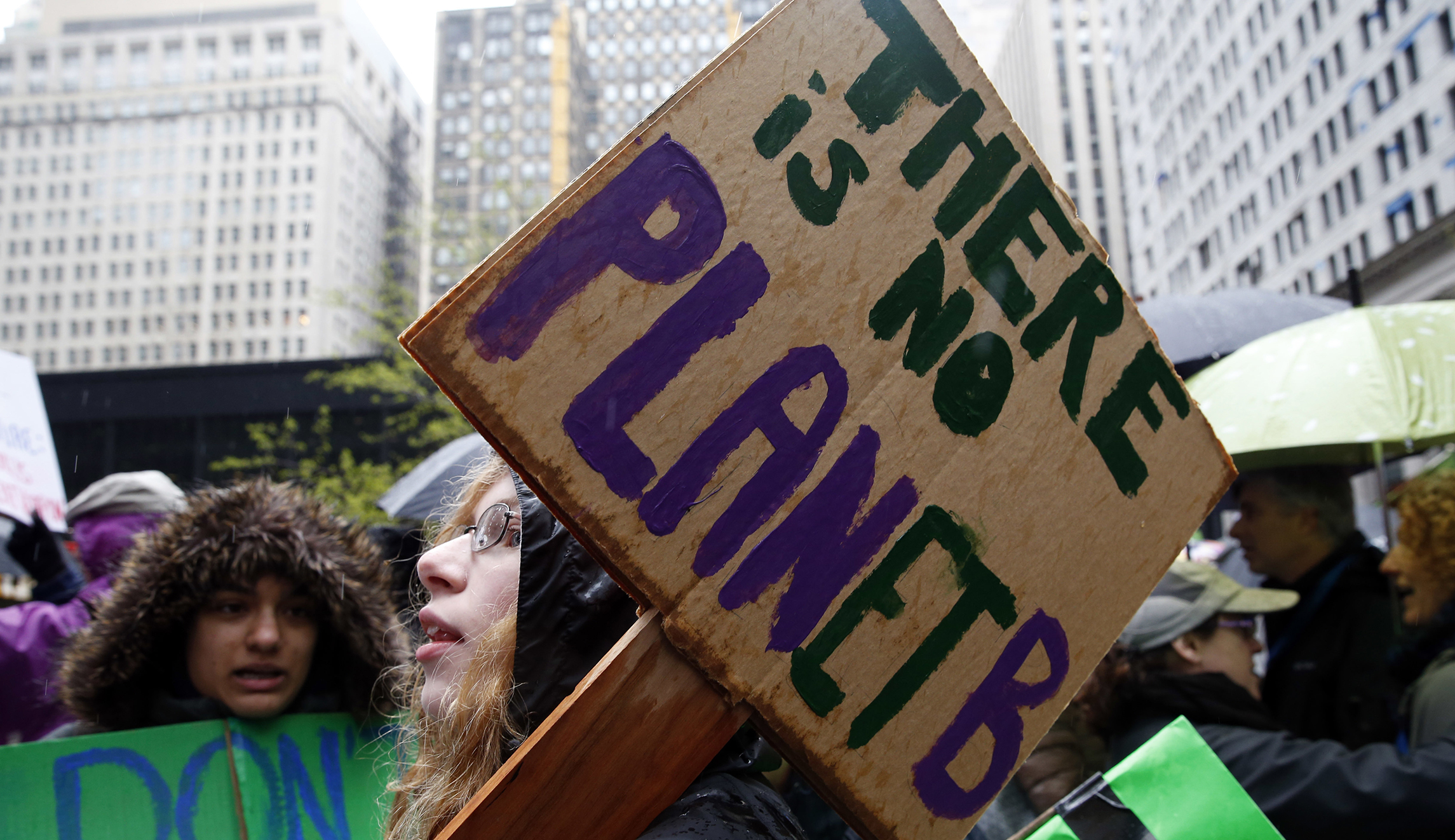Environmentalists planting trees in opposition to Trump