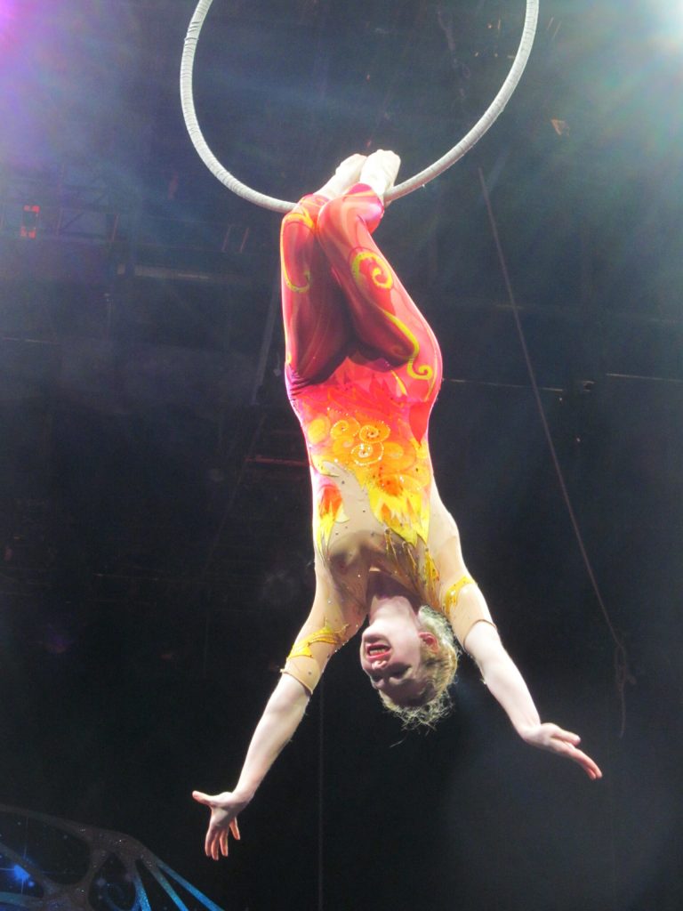 In this undated  family photo, Samantha Pitard performs a heel hang from the lyra (aerial hoop) during the Ringling Bros. and Barnum & Bailey Legends pre-show. Pitard was one of eight acrobats performing a hair-hanging stunt on Sunday May 4, 2014 during a Ringling Bros. and Barnum & Bailey circus when a clip at the top of the chandelier-like apparatus snapped. Pitard was the first of the acrobats to be released from the hospital. (AP Photo/Wayne T. Pitard)