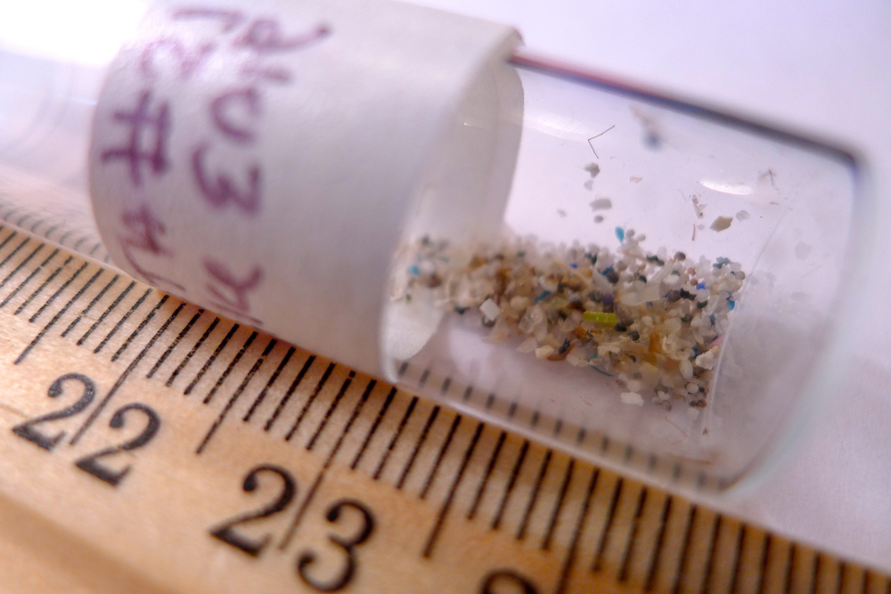 Congress seeks to ban plastic beads in cleansers