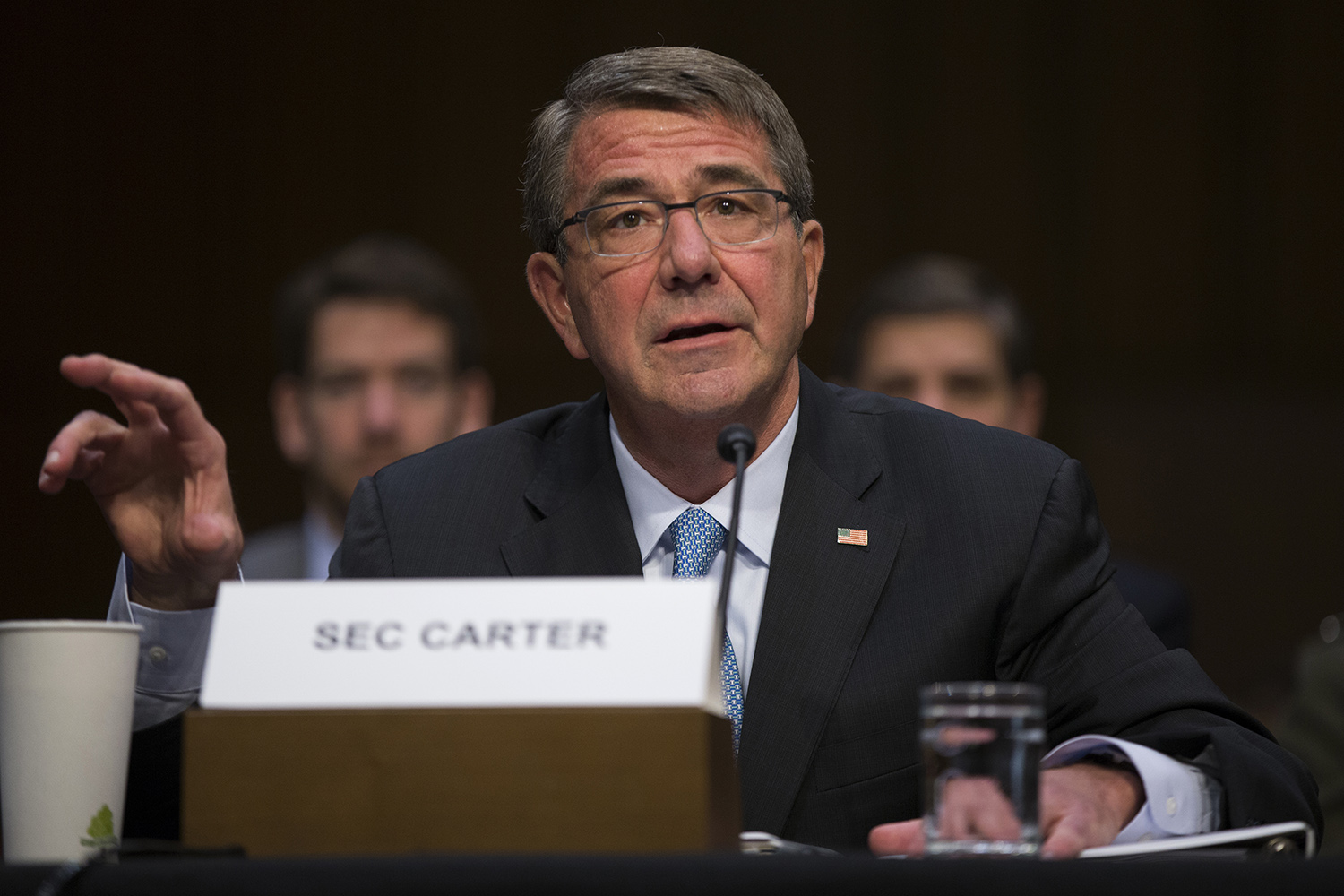 Carter to brief Senate on anti-Islamic State effort