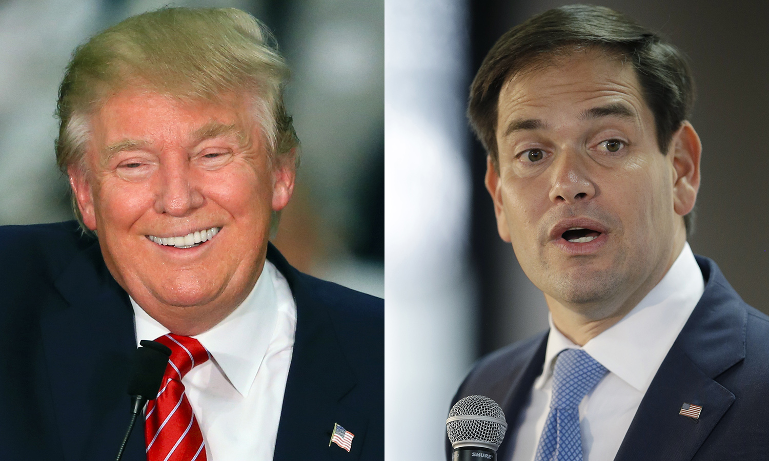 Rubio delegates urge Trump to make Florida senator his VP