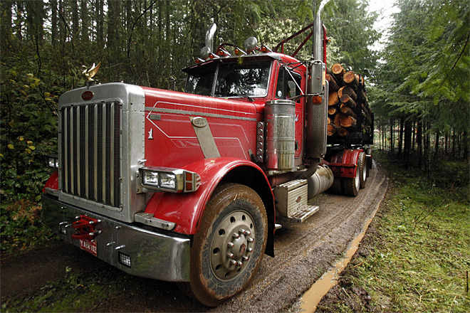 A loaded logging truck heads down the road in the forest near Banks, Ore., (AP Photo/Don Ryan)