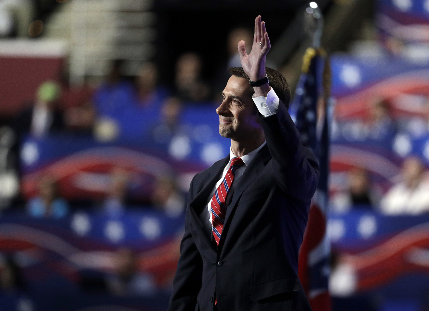 Cotton reminds: ‘Ted has said that Donald is terrific’