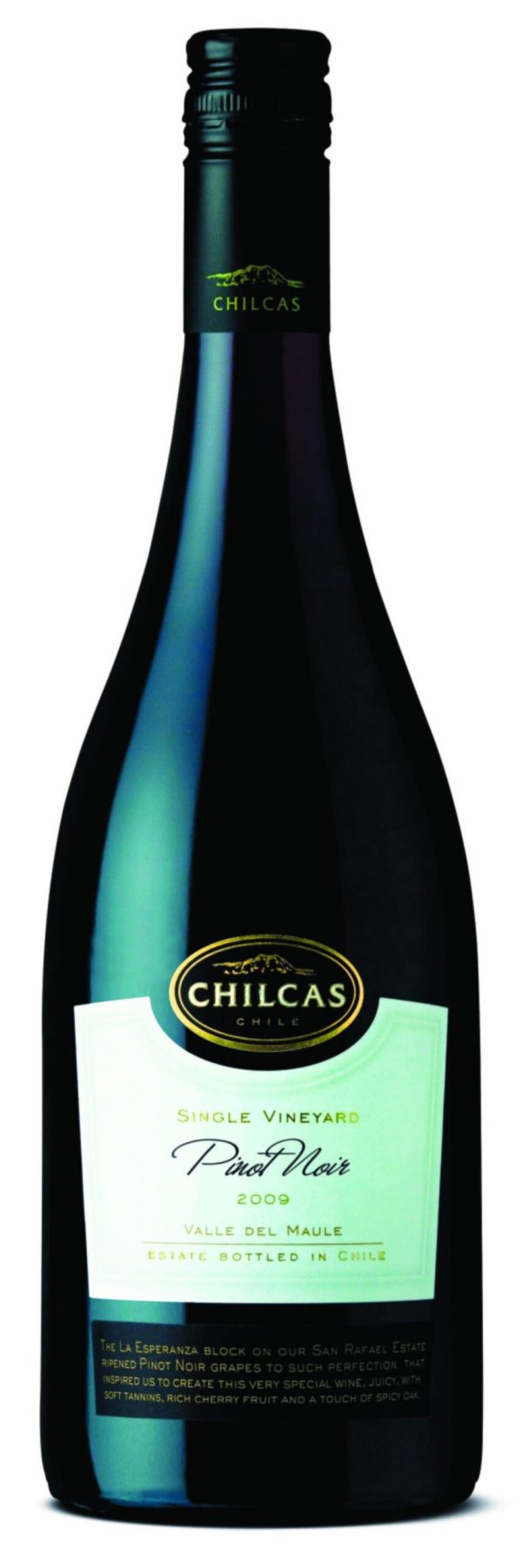 Fall back to pinot noir