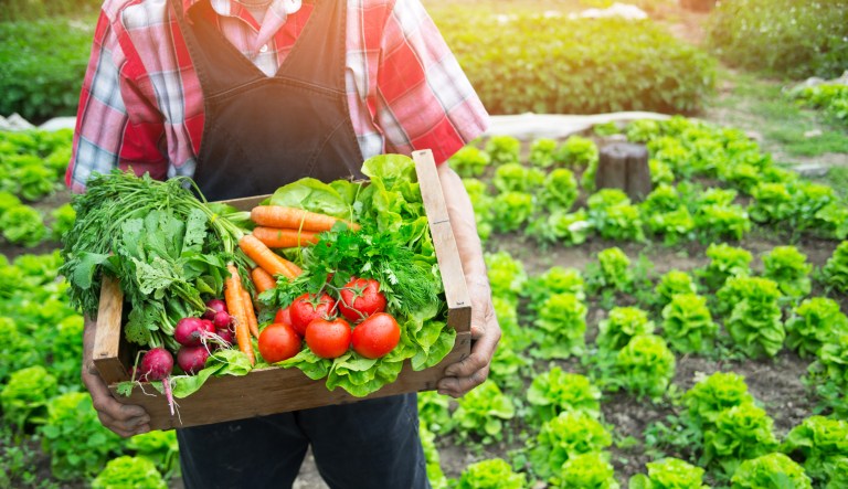 Food retailers employ more than 4.8 million workers and produce over $363 billion in direct economic activity to their local economies. They pay nearly $168 billion in wages to their hardworking associates. (iStock)