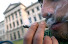 Now that it’s 4:20 in Canada, lawmaker says Dems risk losing weed lobby to Trump
