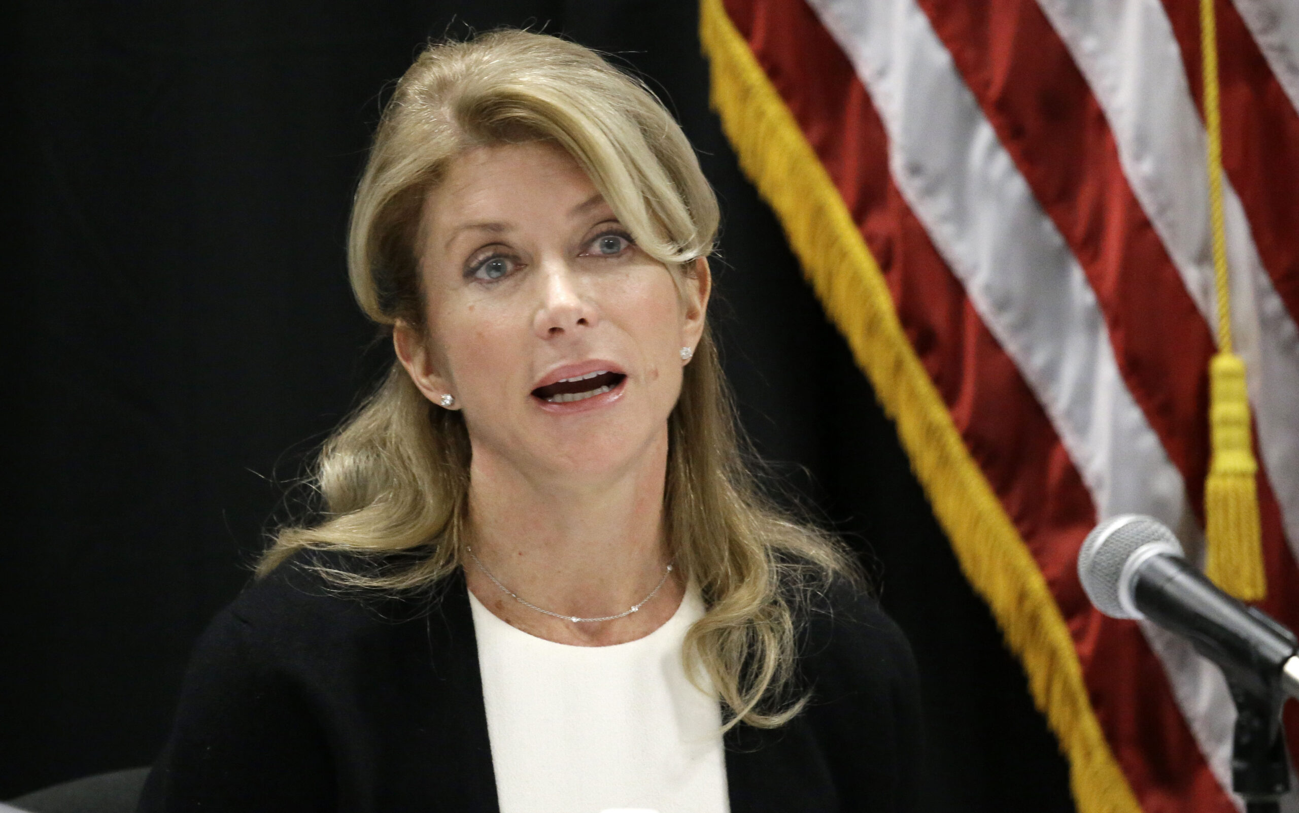 Wendy Davis supports open carry law for guns