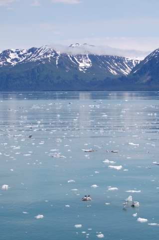 The Standard at Sea: Day 5