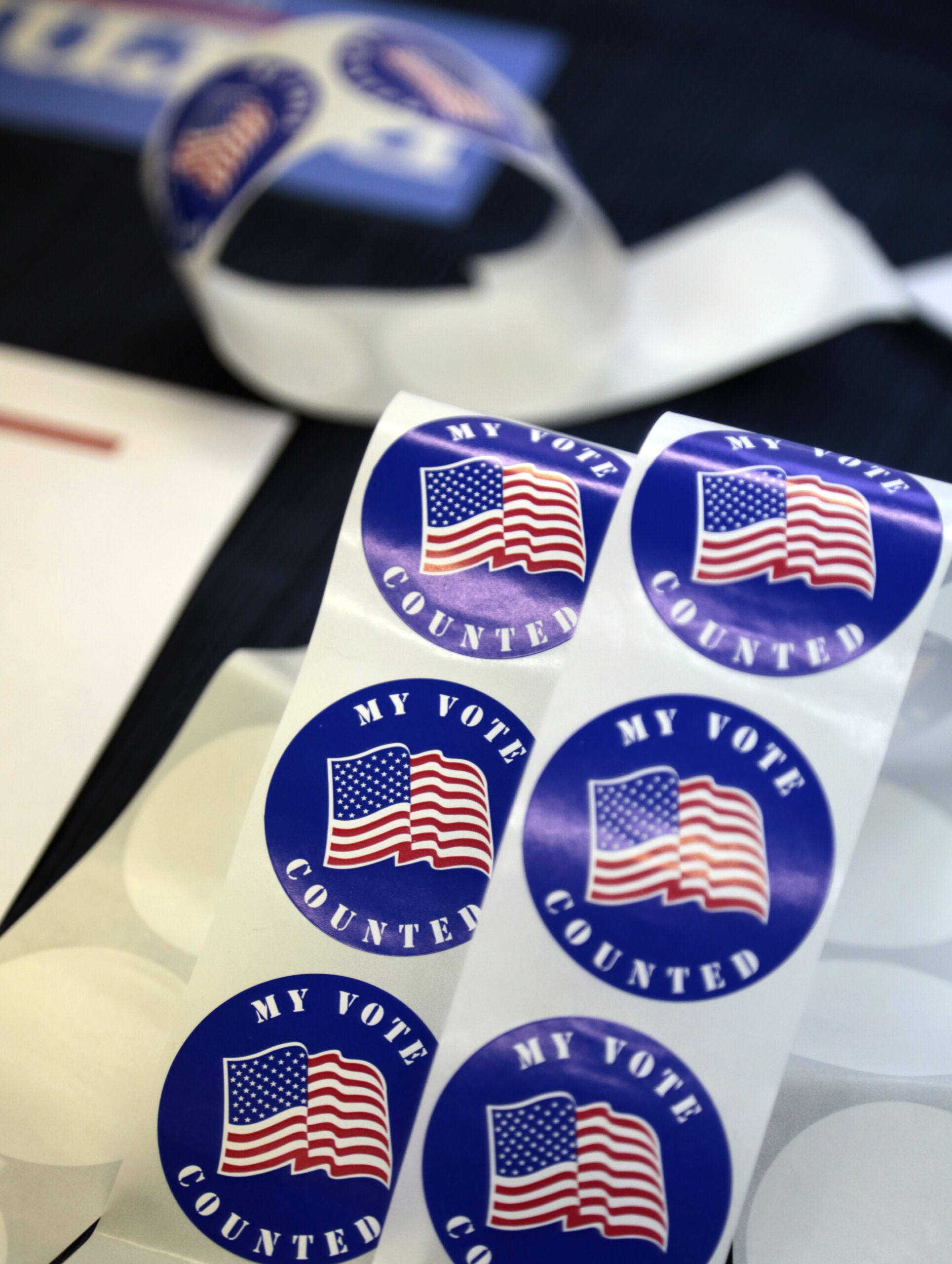 Top FEC Dem wants 6.1 million Americans ‘disenfranchized’