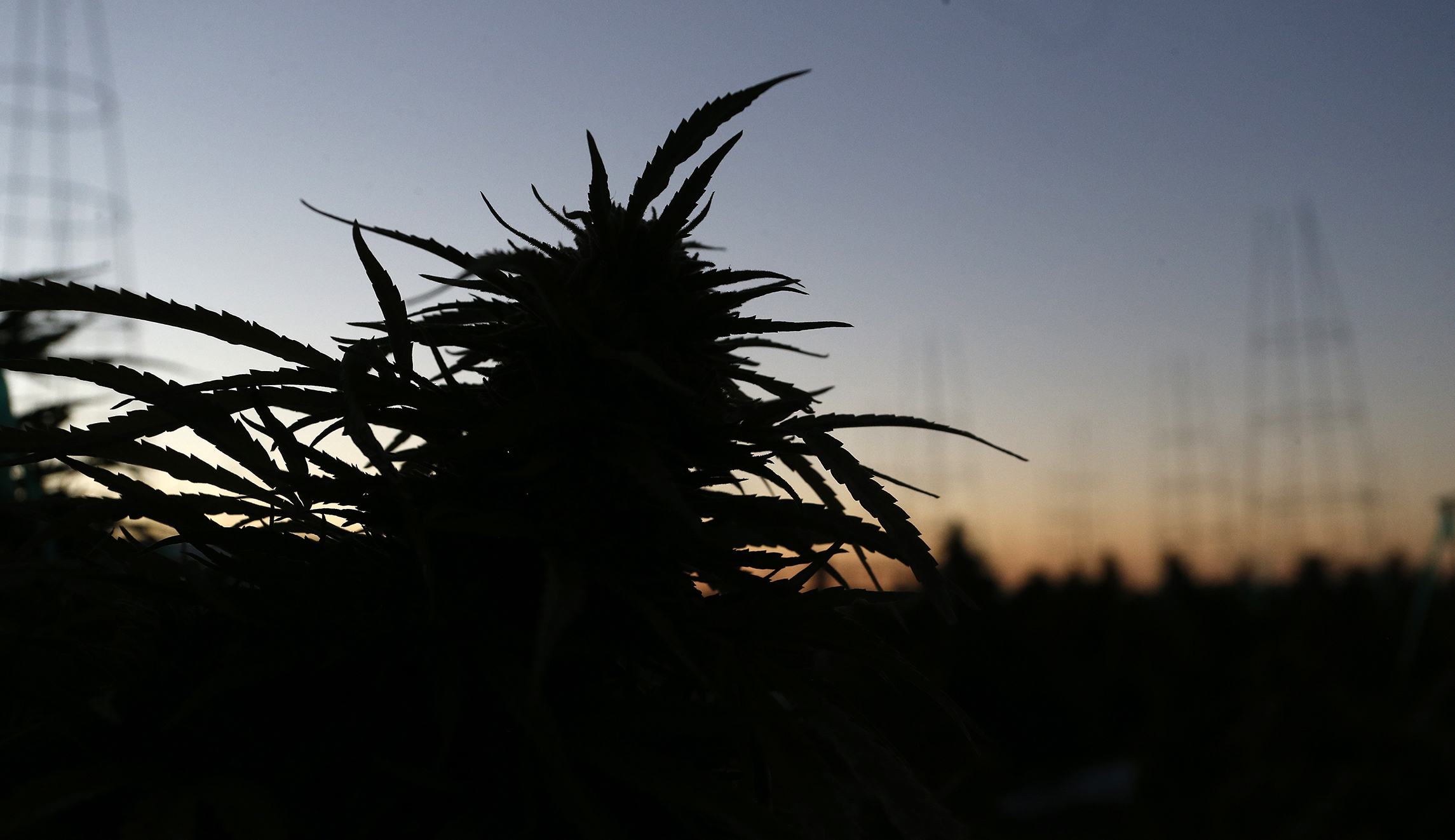 Justice Department says Obama-era medical marijuana prosecution wasn’t allowed