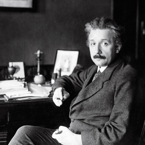 Einstein in Theory