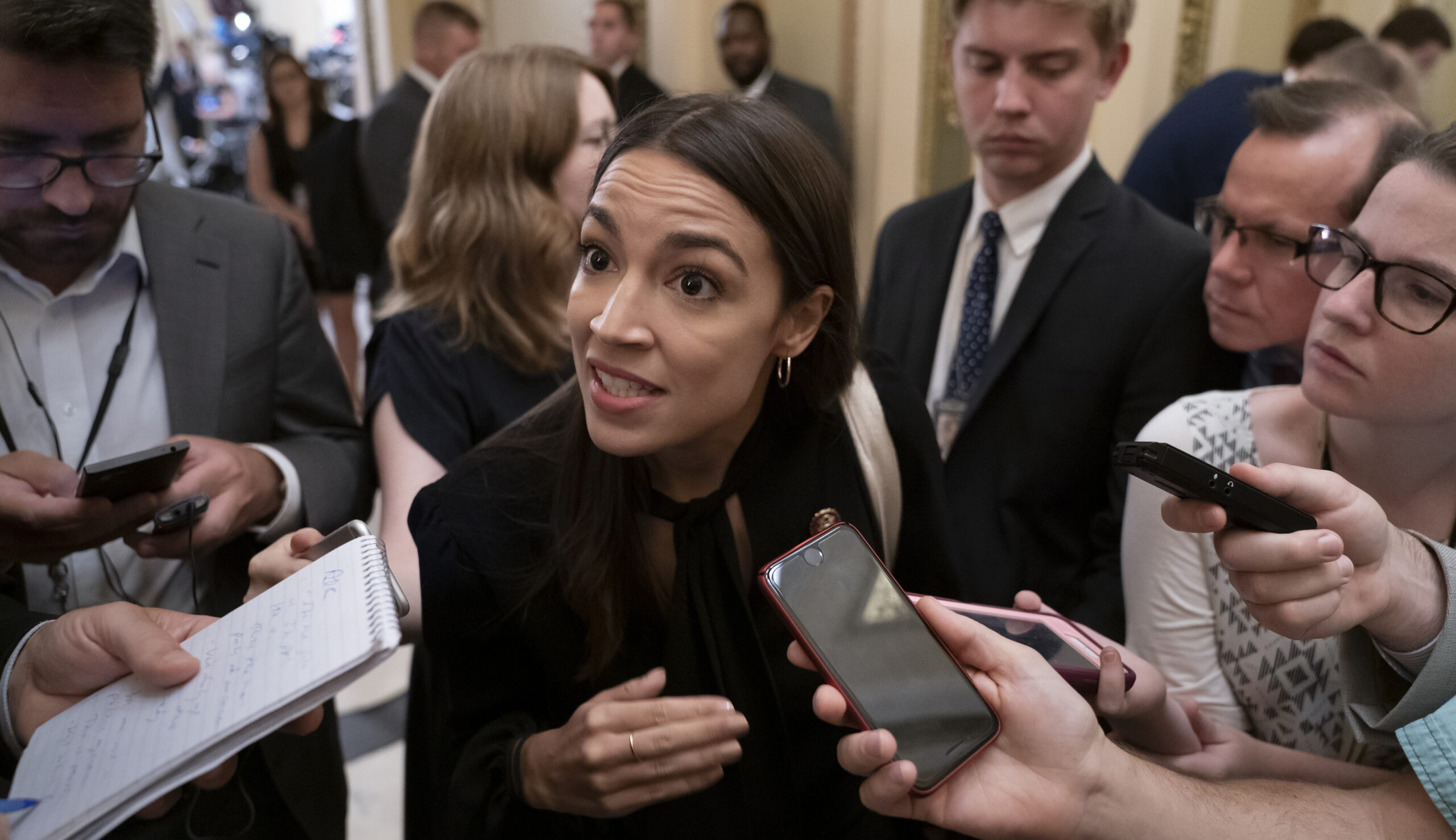 Democrats reject oversight of migrant detention centers because they don’t want to stop illegal immigration