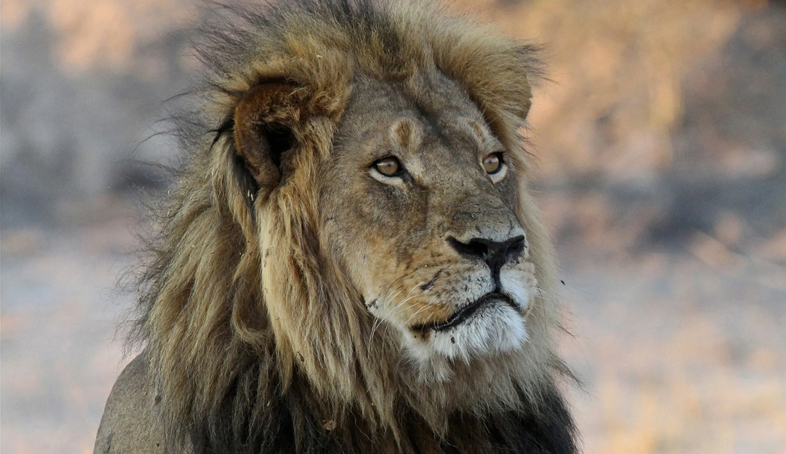 CECIL Act would destroy local conservation programs