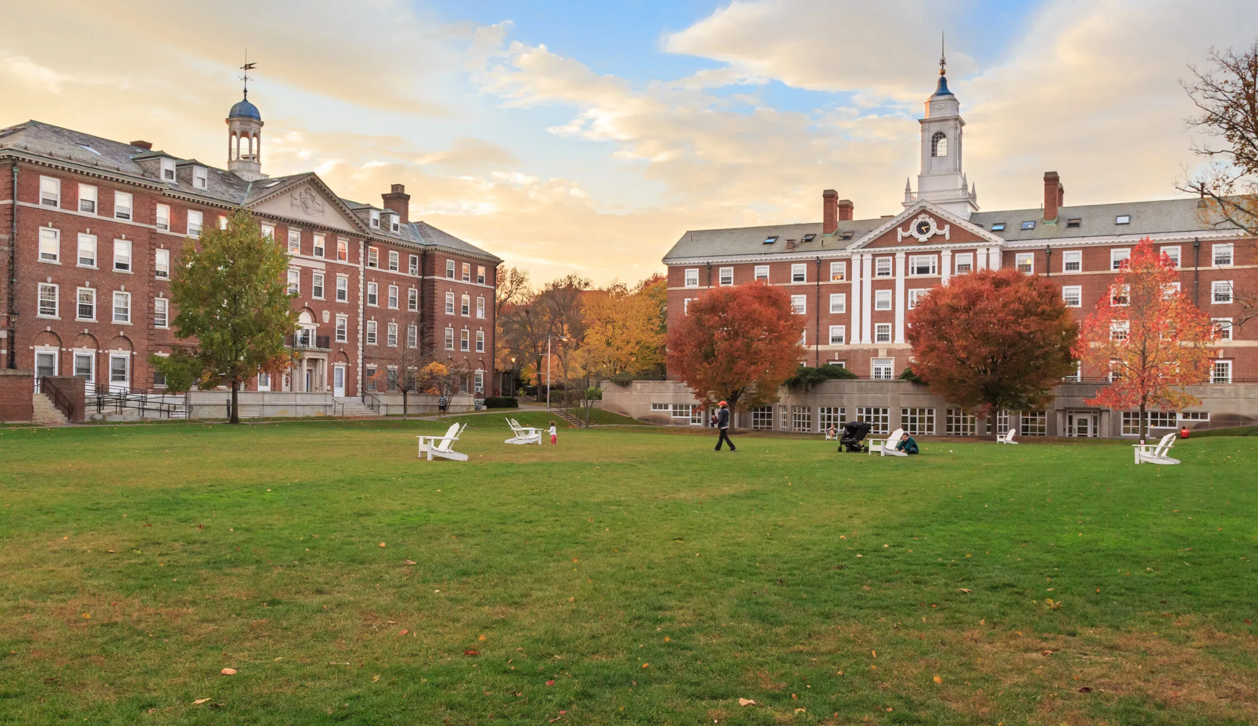 Harvard has no business holding on to Epstein’s millions in donations