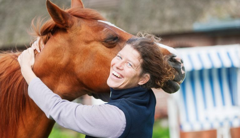 A female veterinarian, performing some chiropractics on a horse 