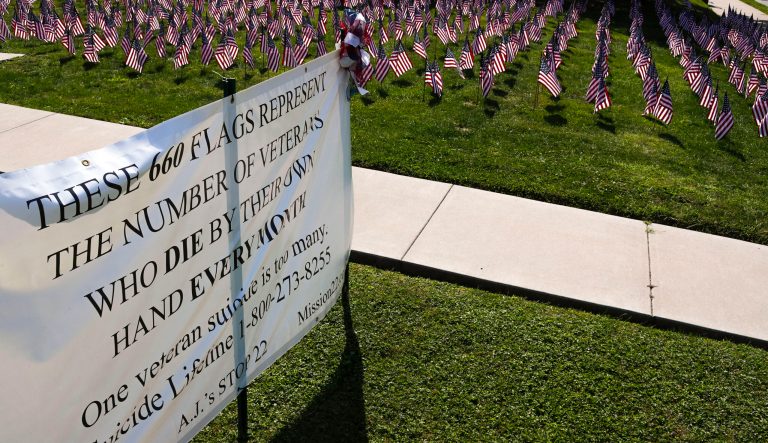 Some of the 660 American flags on display are seen by the banner on the church lawn of St. Peter's Reformed Church in Pennsylvania. A church spokesperson said they put the flags and banner up for the Labor Day weekend to illustrate the number of veterans that commit suicide a year. 