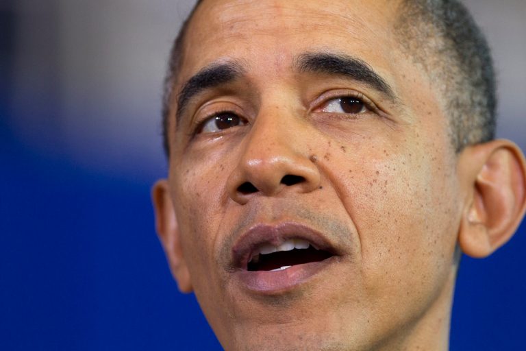 President Barack Obama speaks at a campaign event for Virginia Democratic gubernatorial candidate Terry McAuliffe at Washington-Lee High School in Arlington, Va. on Sunday, Nov. 3, 2013. (AP Photo/Jacquelyn Martin)