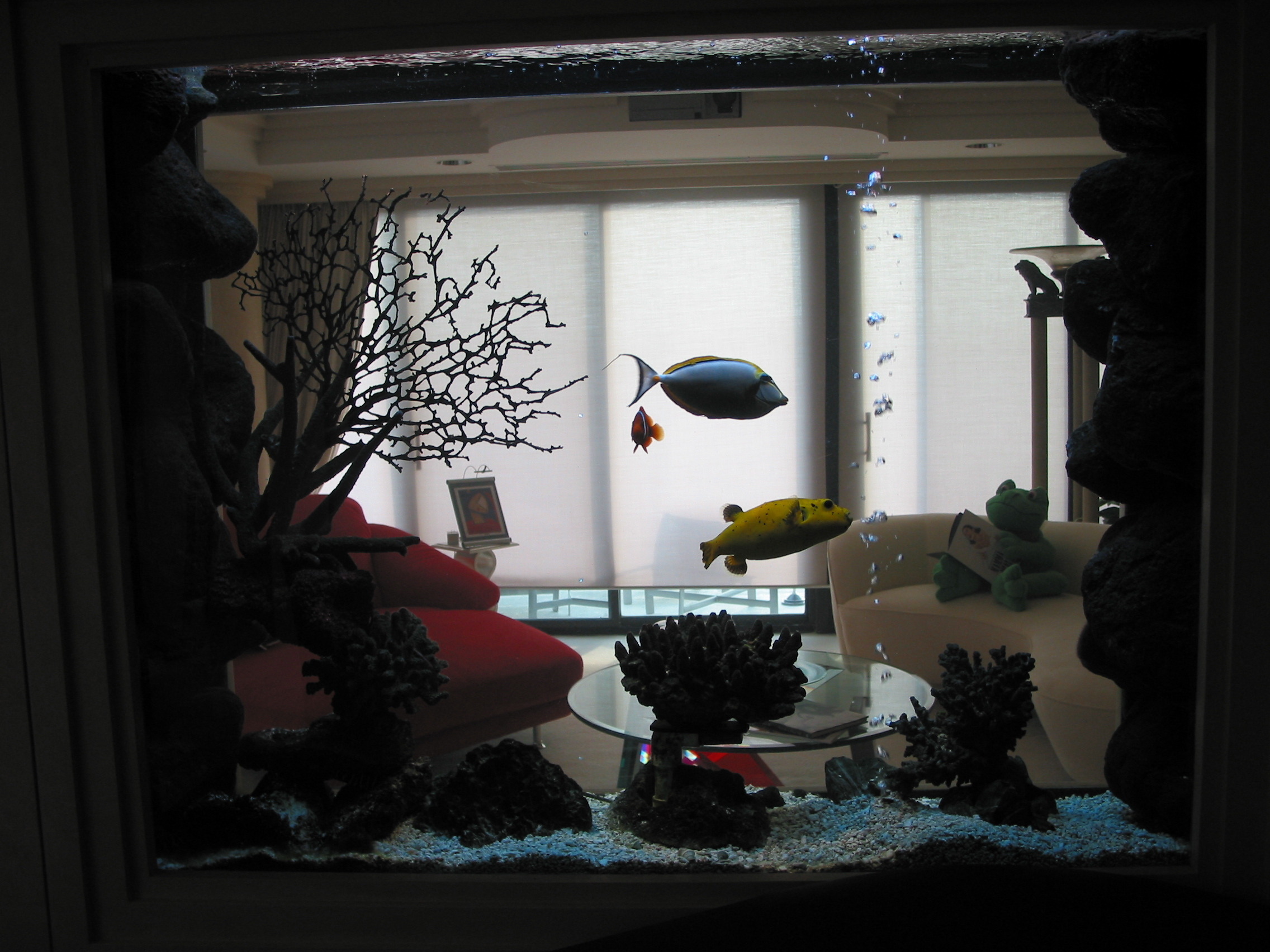 Custom-built aquariums bring nature’s beauty indoors