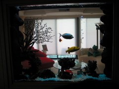 Custom-built aquariums bring nature’s beauty indoors