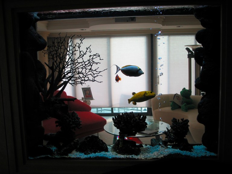 Photo courtesy of John Holland, blueregion.com.