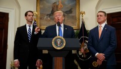 Trump endorsed the Cotton/Perdue immigration bill, but it’s a mixed bag