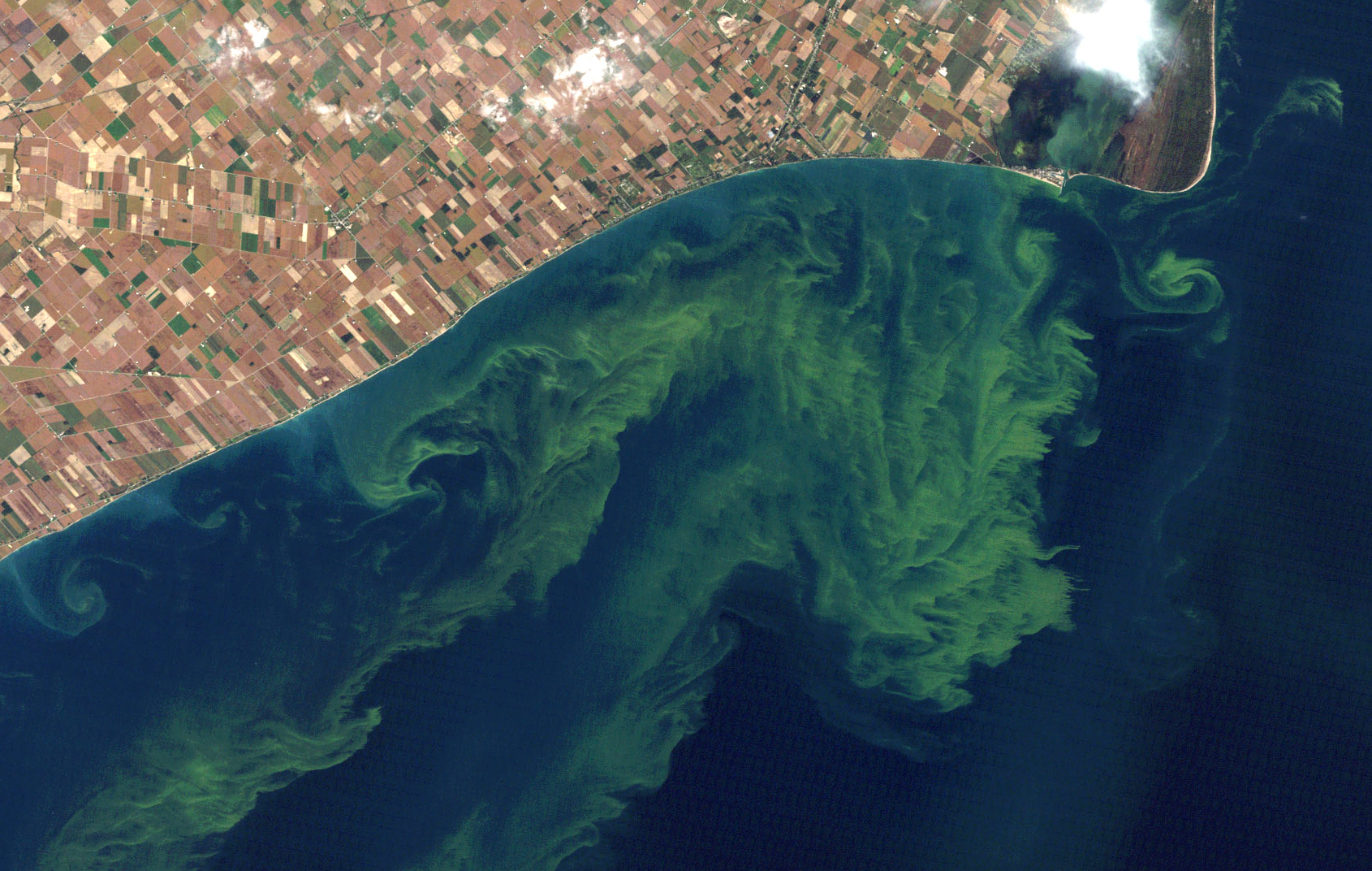 Report predicts ever-bigger Lake Erie algae blooms